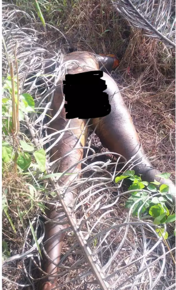 Lady Found Dead In A Bush In Imo With Vital Body Parts Missing. Graphic Pics
